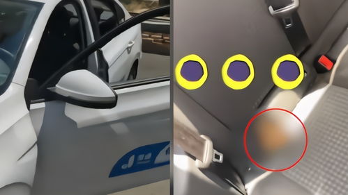 共享汽车能开多少公里