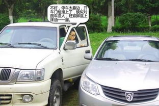 汽车基本险多少钱