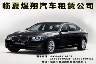 临夏市汽车总量多少