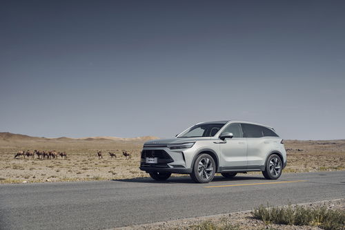 绥化到北京汽车多少钱