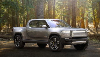 亚马逊汽车投资多少钱 亚马逊汽车投资多少钱