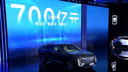 国家汽车投入多少钱