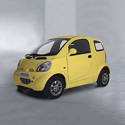 电动汽车一般多少钱