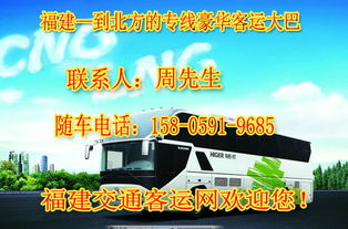 厦门汽车挂牌要多少钱