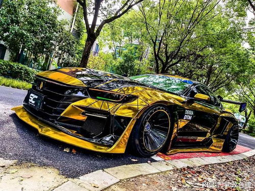 汽车 彩绘贴膜多少钱