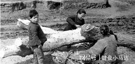 河南汽车填充胶多少钱