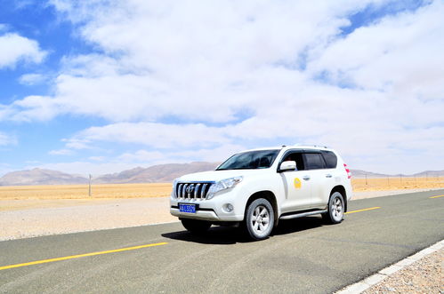 武当王汽车多少钱