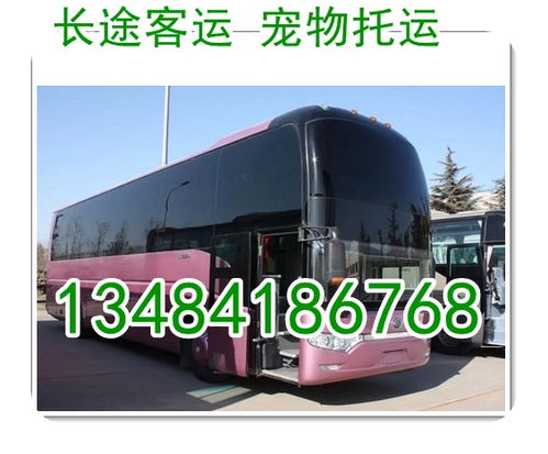 浠水到鄂州汽车多少钱