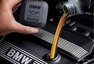 汽车化油器能存多少油