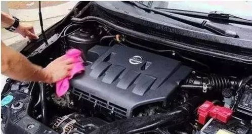 汽车清洗发动机多少钱