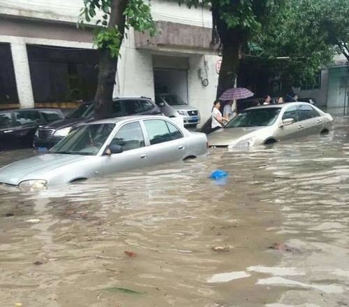 浙江汽车进水价格多少 浙江汽车进水价格多少