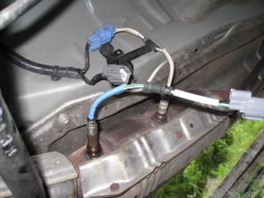 汽车氧传感器价格多少