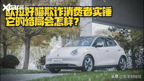 汽车锅子多少钱
