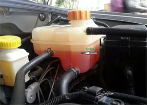 汽车一次要加多少机油