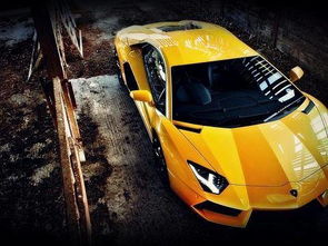 通州汽车过户多少钱啊