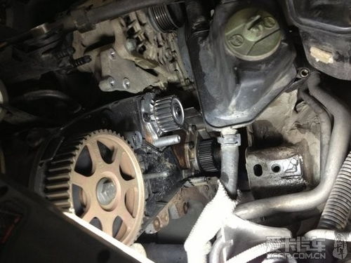 汽车皮带三件套多少钱