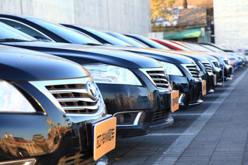 道里汽车租赁价格是多少