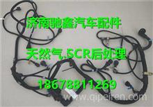 汽车发动机线束多少钱