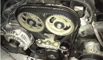 汽车更换正时皮带多少钱