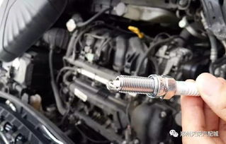 汽车气门盖有多少毫米的