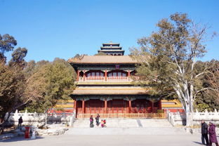 苹果CEO库克现身北京 爬景山公园