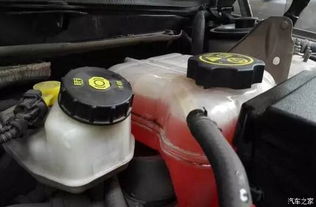 汽车冷却液多少钱