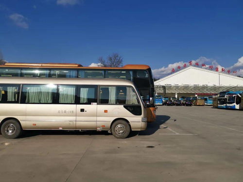 岳西汽车站电话是多少