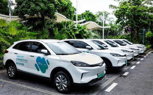 当涂到博望汽车多少钱