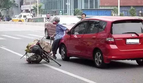 汽车搭线多少钱