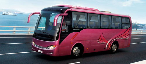 长途大汽车长多少米