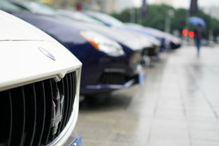 莎尔玛生 汽车多少钱