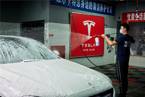 汽车美容有多少项目