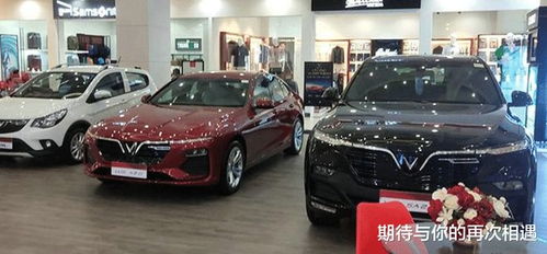 越南车有多少品牌汽车