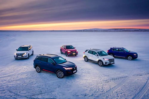 长安汽车搭电多少伏