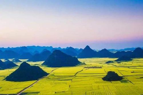 兴义到罗平汽车多少钱