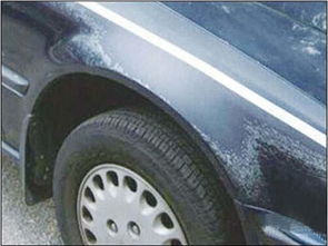 汽车油漆需要多少水洗