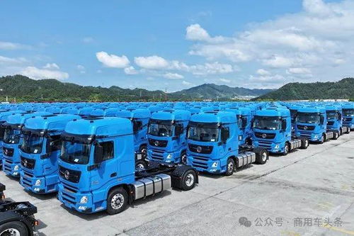 越南有没有汽车补贴多少