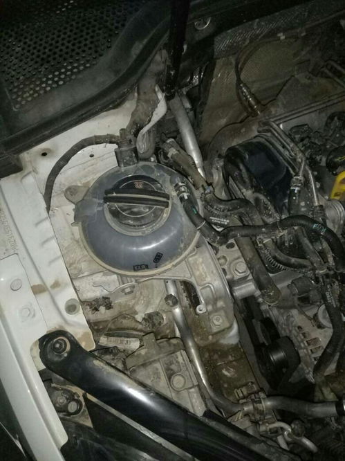 汽车水箱损坏赔偿多少