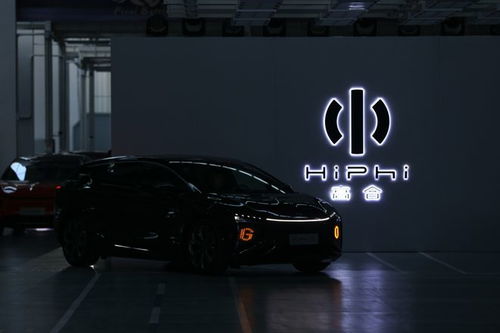 高合汽车总投资多少 高合汽车总投资多少