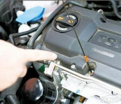 冬天汽车开多少机油