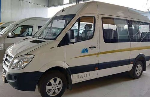 金龙纯电动汽车多少钱