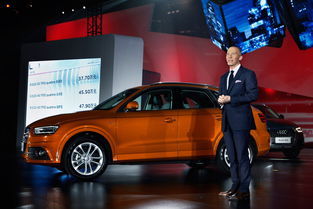 石先生汽车价格多少