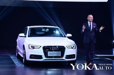 石先生汽车价格多少