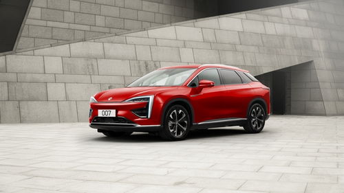 未来汽车用户有多少个