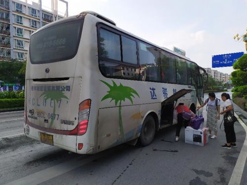 桂林到来宾汽车多少钱