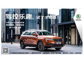 湖南恒阳汽车补贴多少