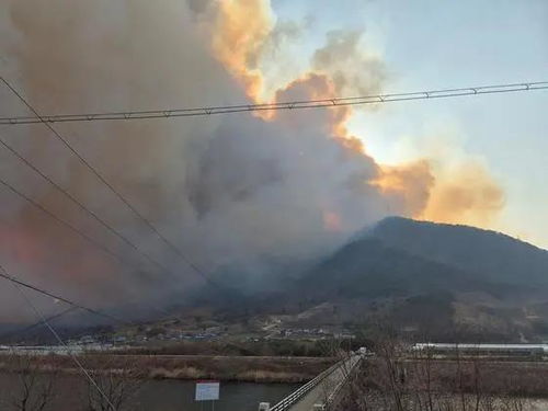 韩国宣布多地进入灾难状态