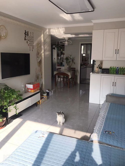 200多万买二手房遭遇“20年租约”