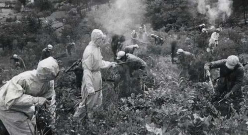 日本议员揭批政府欺瞒731部队罪行