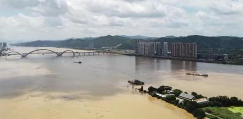 西江梧州段被投放铅酸电池?官方通报 西江梧州段被投放铅酸电池?官方通报